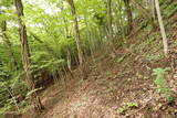 備後 高鉢山城の写真