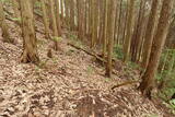 備後 高鉢山城の写真