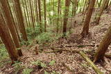 備後 高鉢山城の写真