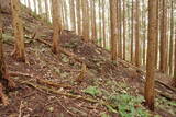備後 高鉢山城の写真