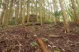 備後 高鉢山城の写真