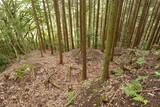 備後 高鉢山城の写真
