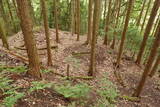 備後 高鉢山城の写真