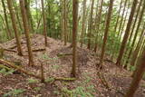 備後 高鉢山城の写真