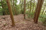 備後 高鉢山城の写真