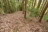 備後 高鉢山城の写真