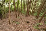 備後 高鉢山城の写真