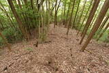 備後 高鉢山城の写真
