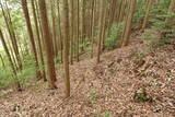 備後 高鉢山城の写真