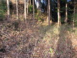 備後 高鉢山城の写真