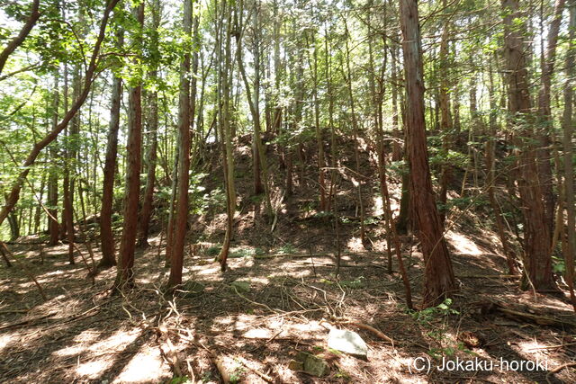 備後 勝山城(八幡町)の写真