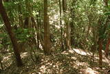 備後 勝山城(八幡町)の写真