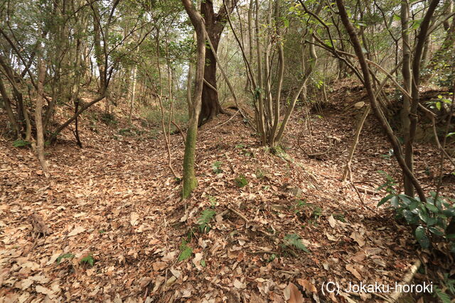 備前 日笠青山城の写真