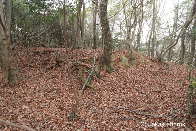 備前 大坊山城の写真