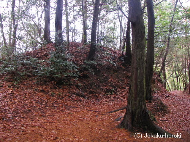 備前 八幡山城の写真