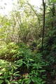 備前 鼻高山城の写真