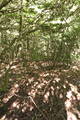 備前 鼻高山城の写真