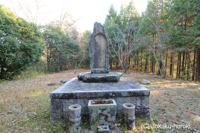 備前 殿谷城(御津伊田)の写真