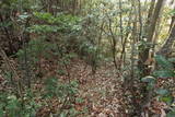 備前 加茂福山城の写真
