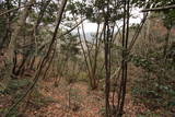 備前 衣笠山城の写真