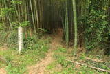 備前 戸山城の写真