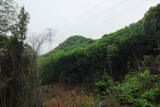 備前 戸山城の写真