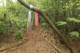 備前 戸山城の写真