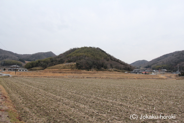 備前 岡城の写真