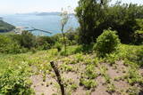 備前 湊山城の写真