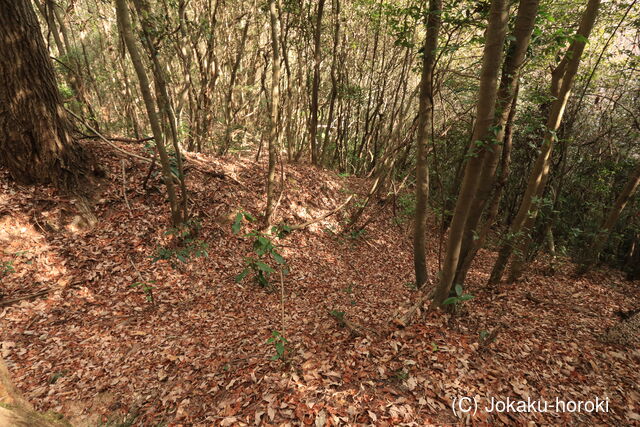 備前 城ノ段(御津紙工)の写真