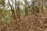 備前 麦飯山城(東城)の写真