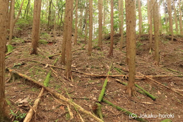 備前 新山城の写真