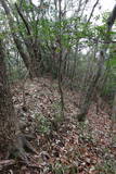 備前 西辛川城の写真
