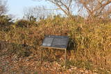 備前 大廻・小廻山城の写真