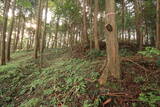 備前 勝山城の写真