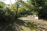 備前 下津井城の写真