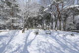 備前 周匝茶臼山城の写真