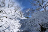 備前 周匝茶臼山城の写真