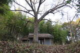 備前 茶臼山城(建部町)の写真