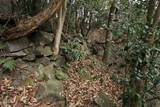 備前 天神山城の写真