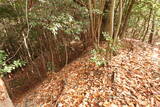 備前 寺上山城の写真