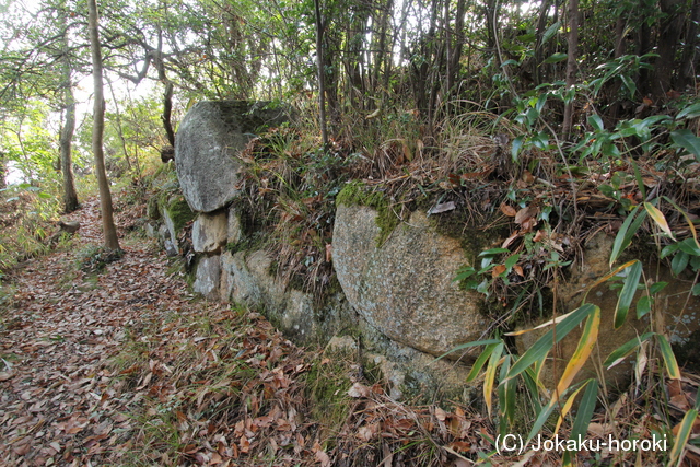 備前 富山城の写真