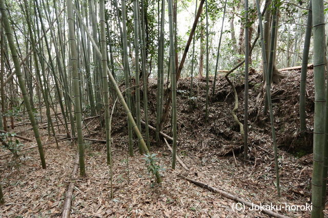 豊後 智恩寺西城の写真