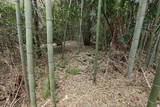 豊後 智恩寺西城の写真