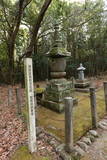 豊後 智恩寺西城の写真