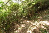 豊後 烏帽子岳城(大分市)の写真