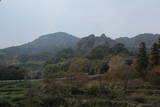 豊後 烏帽子岳城の写真