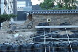 豊後 府内城の写真