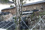 豊後 府内城の写真