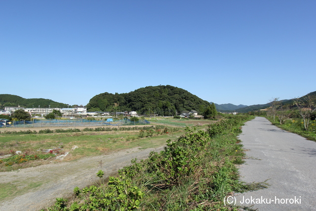 豊後 八幡山城の写真